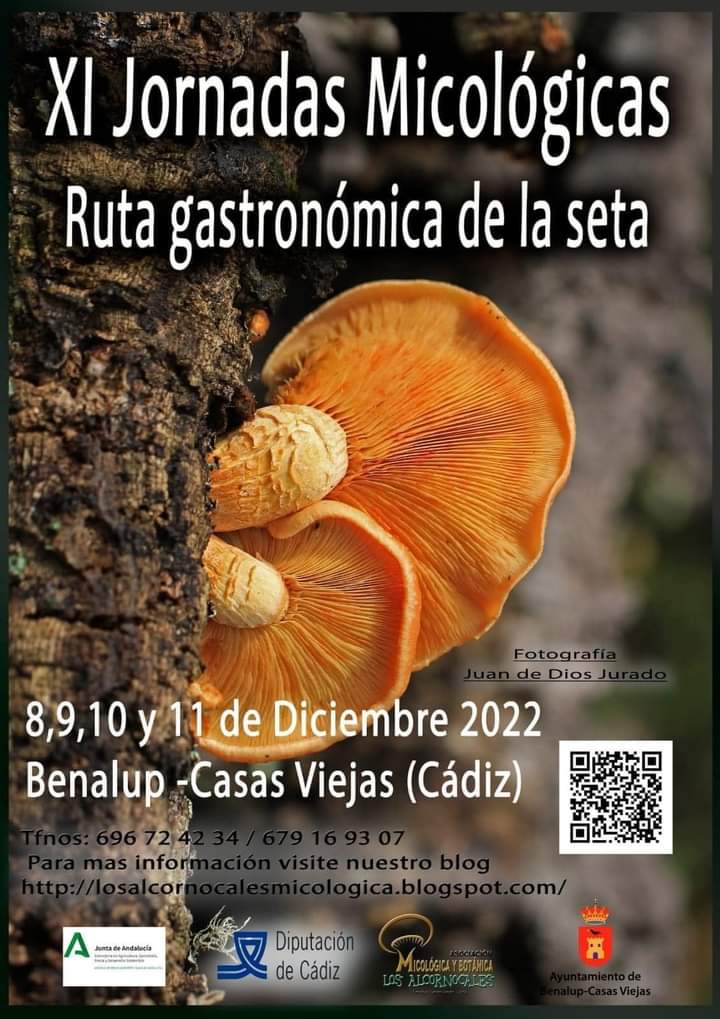 sites/default/files/2022/AGENDA/gastronomia/cartel XI Jornada y Ruta de la Seta 2022.jpg